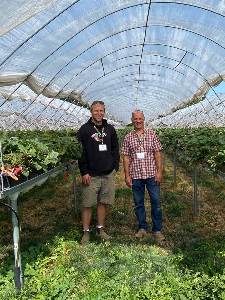 Dalton and John Cooper standing in a high tunnel strawberry field 